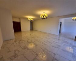 The Cairnhill (D9), Condominium #598382701